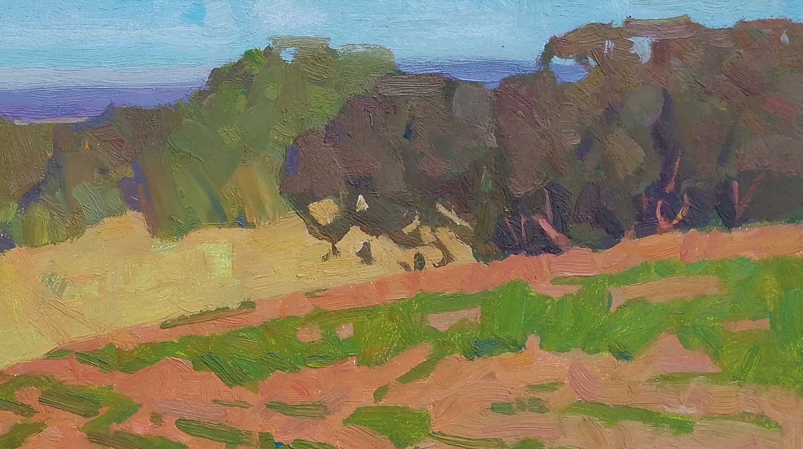 Oil painting A bright vegetable garden Igor Tuzhikov - 5