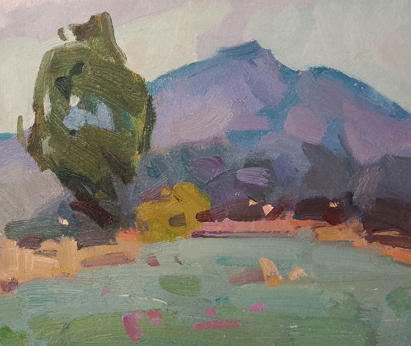 Oil painting Fresh air in the mountains Igor Tuzhikov - 2