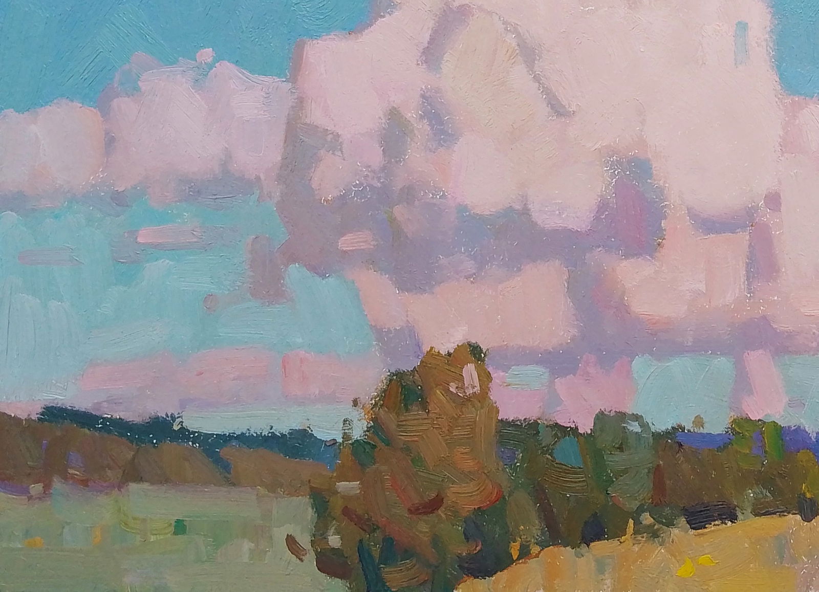 Oil painting Evening clouds Igor Tuzhikov - 3