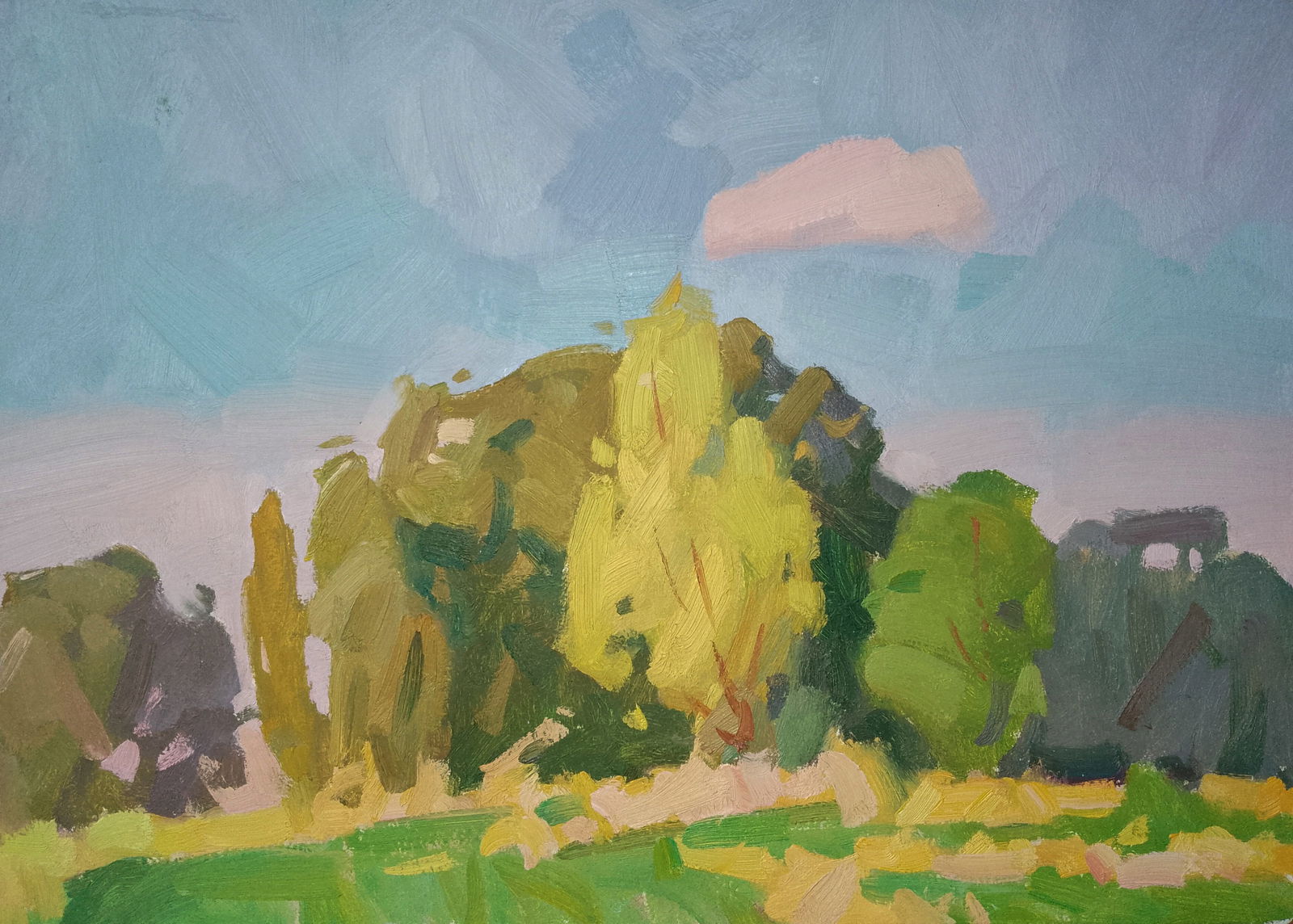 Oil painting Forest on summer meadows Igor Tuzhikov: Title: Oil painting Forest on summer meadows Igor Tuzhikov Description: 23TUZHIK Painter: Igor Tuzhikov Size: 25x35 cm/9.84x13.77 inches Components: oil, cardboard Original painting CONDITION: excelle