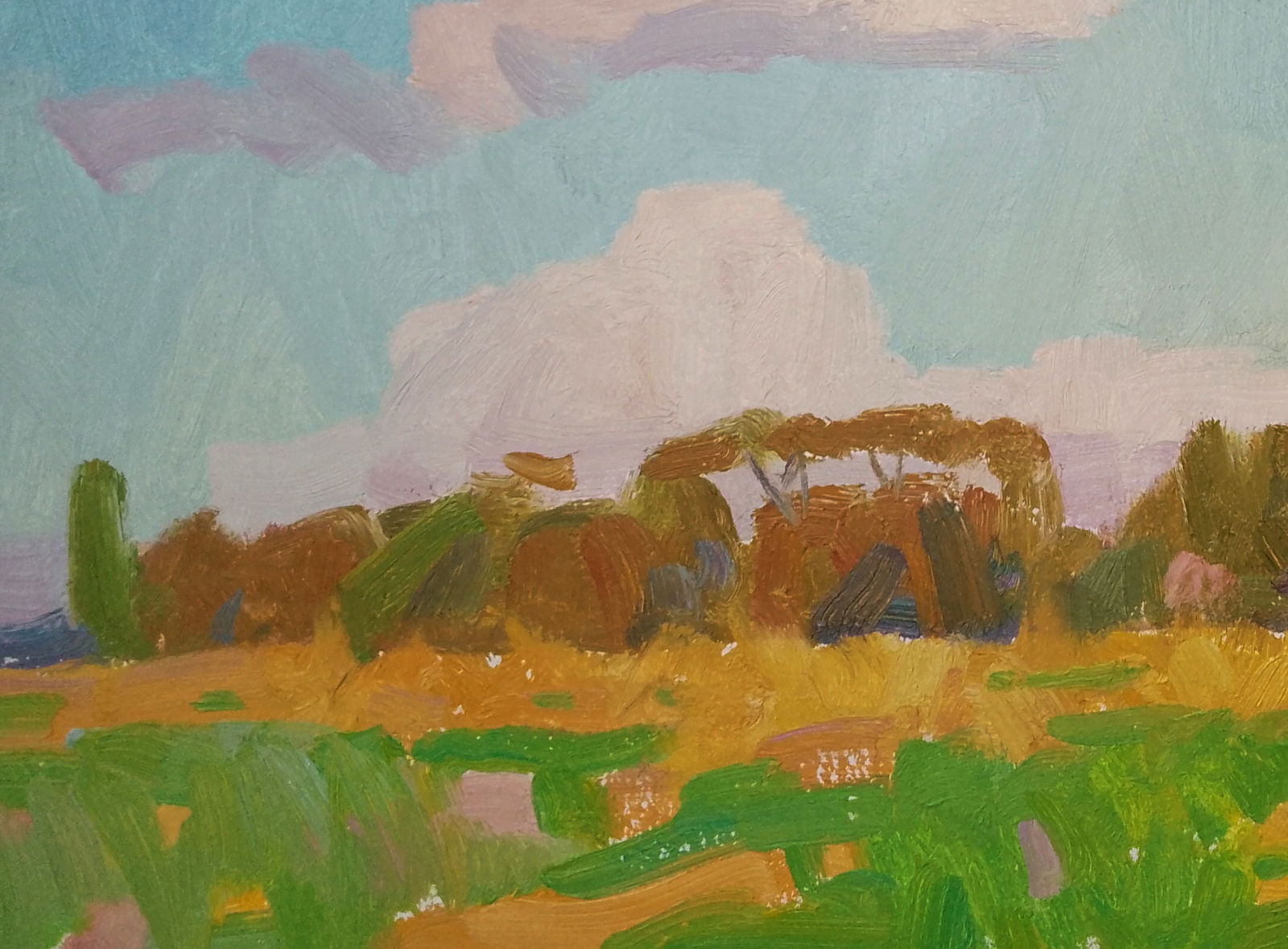 Oil painting The summer smell of nature Igor Tuzhikov - 3