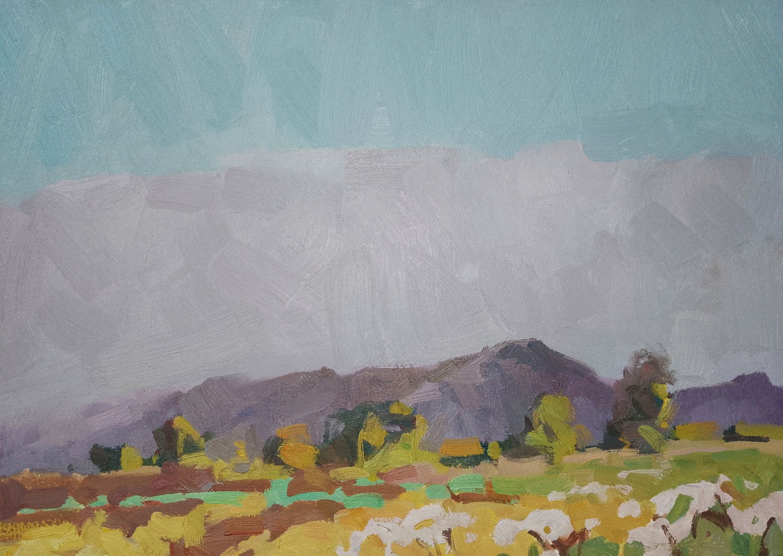 Oil painting Mountain freshness Igor Tuzhikov: Title: Oil painting Mountain freshness Igor Tuzhikov Description: 31TUZHIK Painter: Igor Tuzhikov Size: 25x35 cm/9.84x13.77 inches Components: oil, cardboard Original painting CONDITION: excellent ART