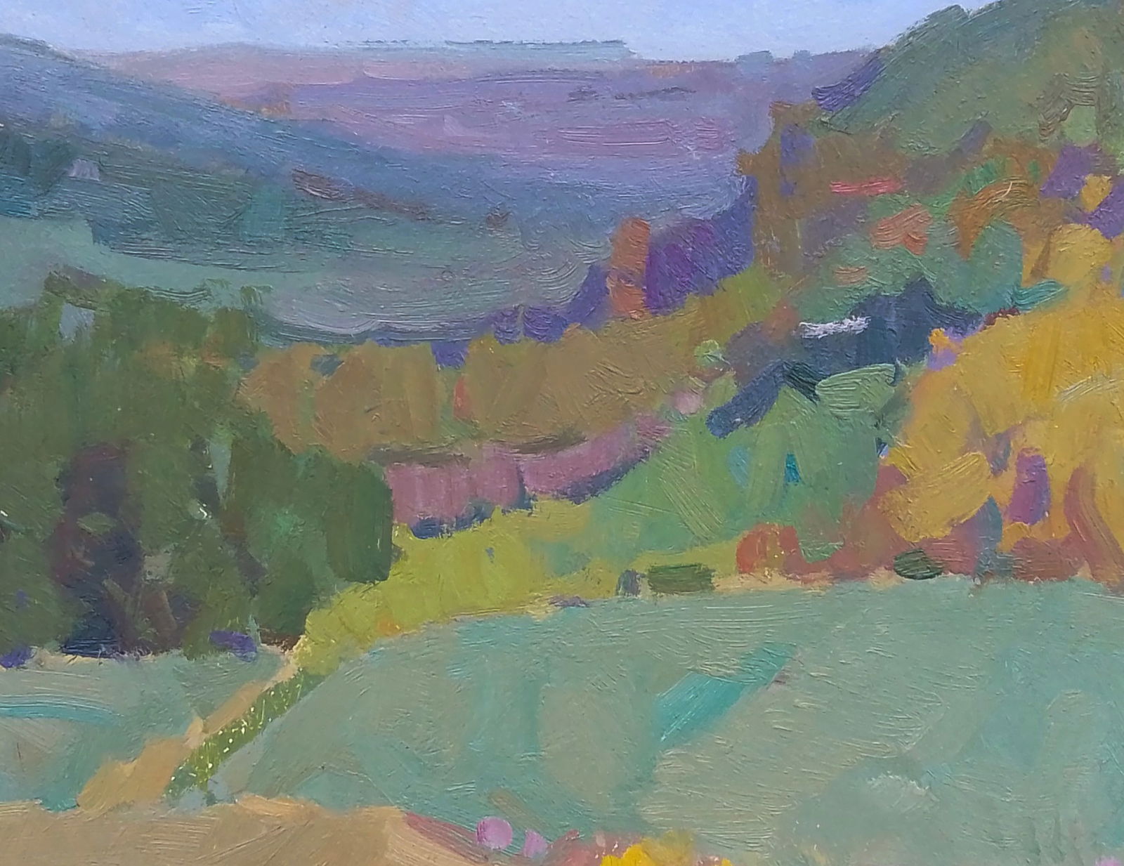 Oil painting In the mountain fields Igor Tuzhikov - 6