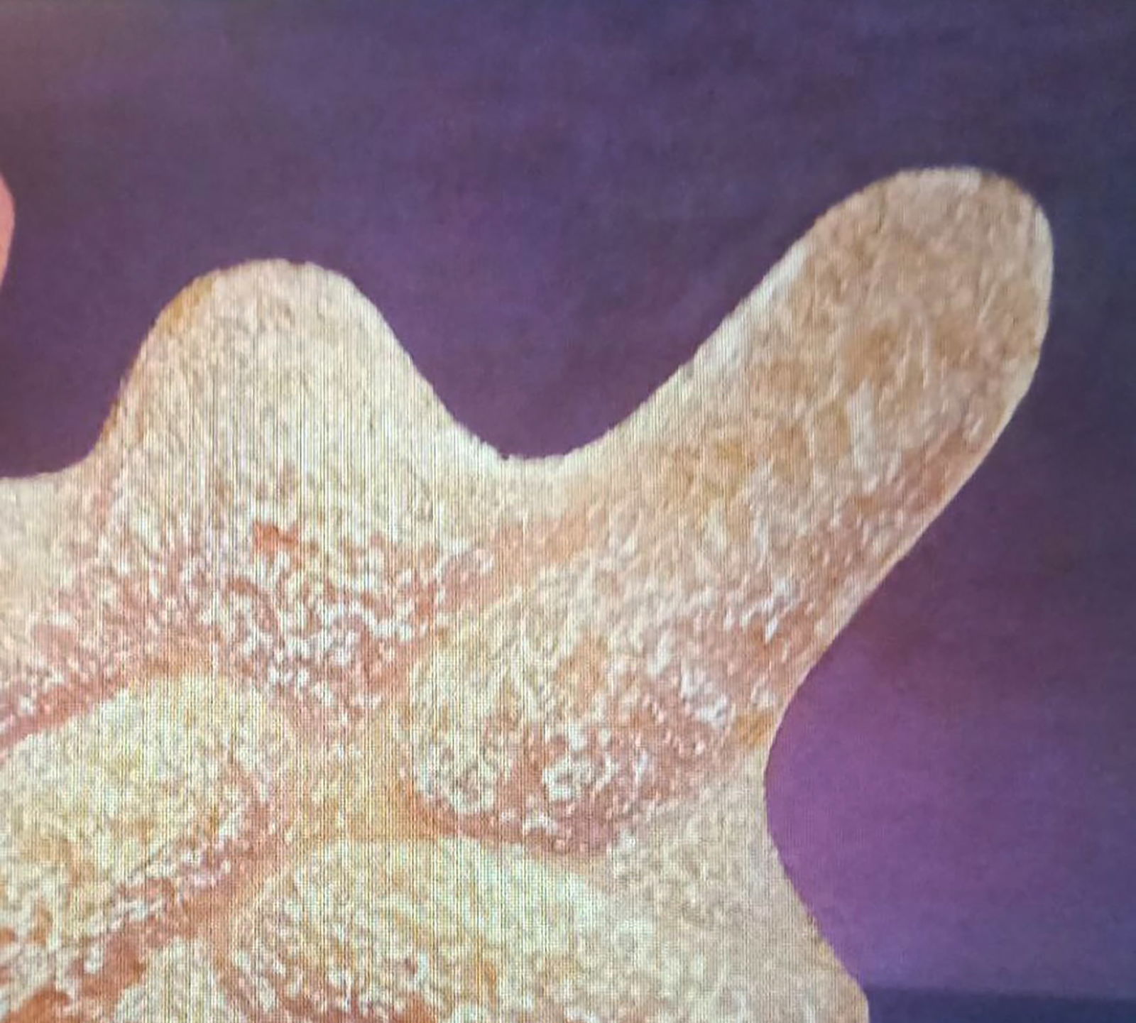 Oil painting Struggle Alexander Strashevich - 3