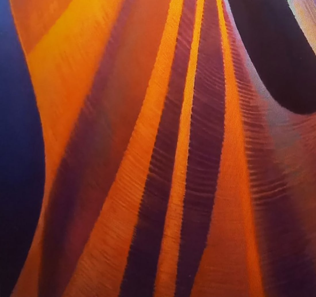 Oil painting Orange sculpture Alexander Strashevich - 4