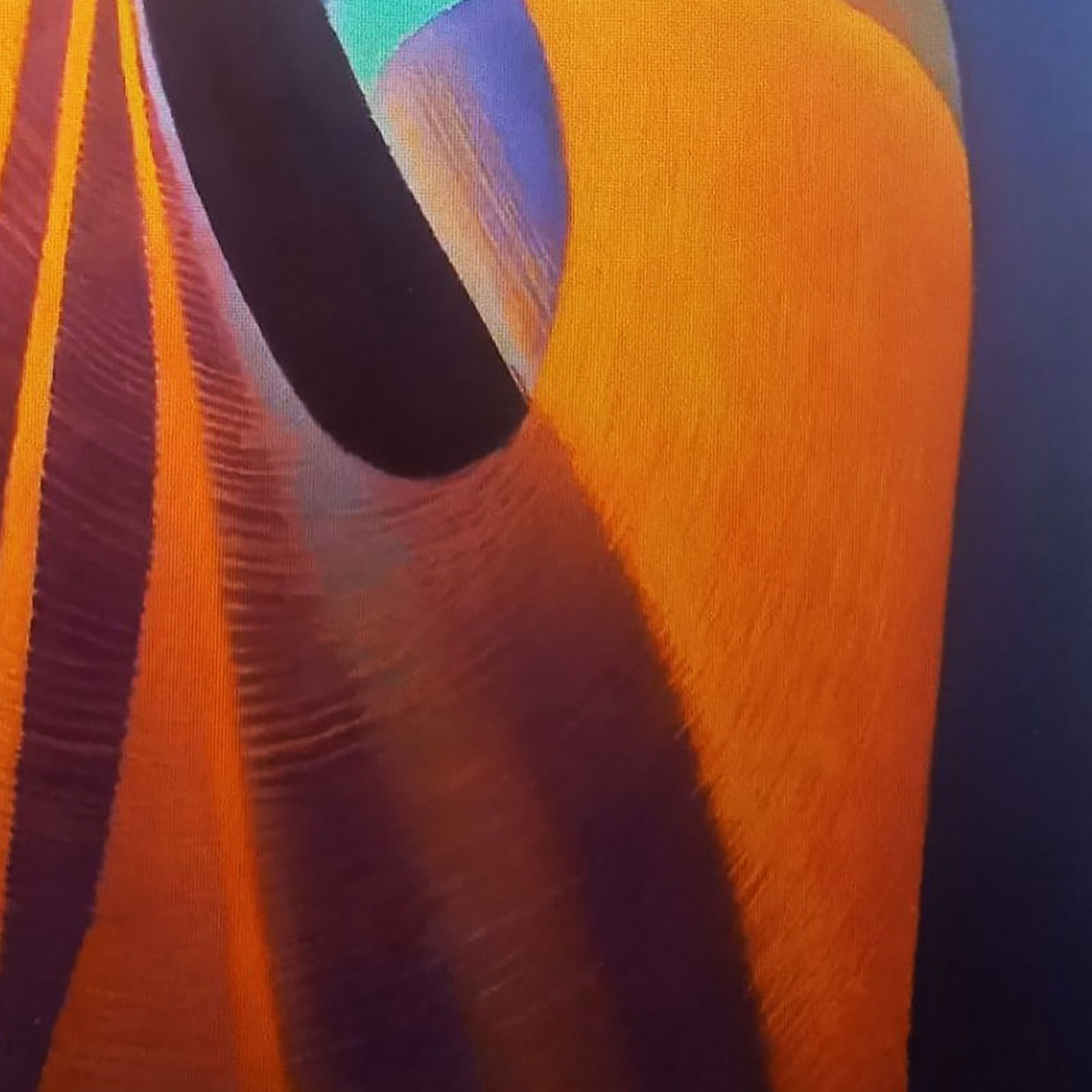 Oil painting Orange sculpture Alexander Strashevich - 5