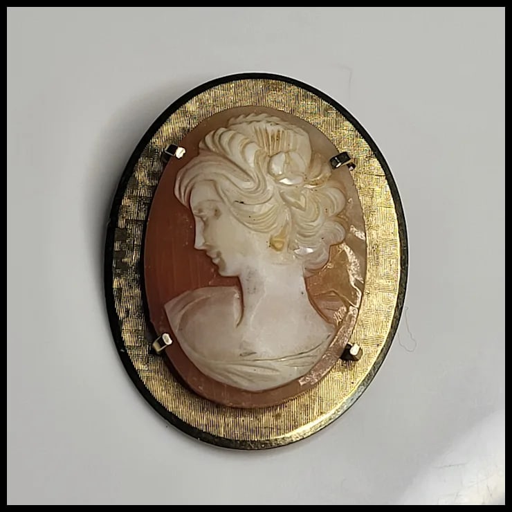 Vintage Cameo Pin/Brooch - 2