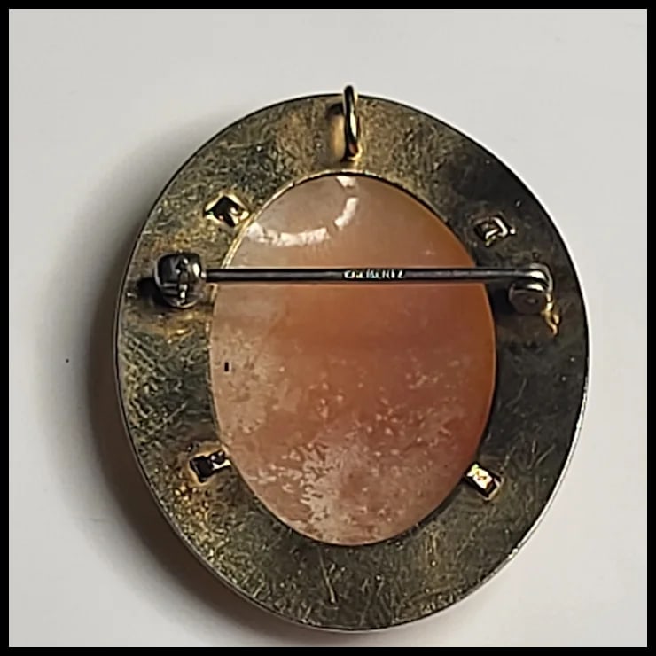 Vintage Cameo Pin/Brooch - 3