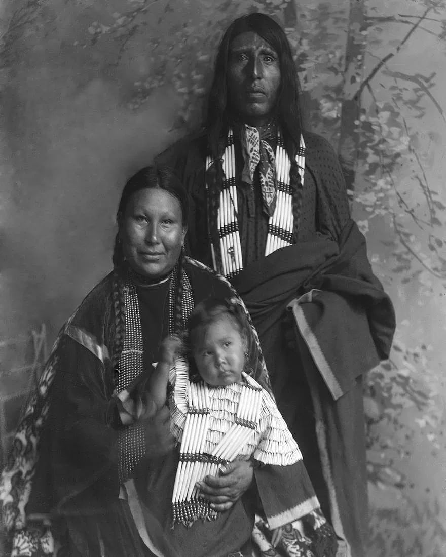 1891, LITTLE DOG & FAMILY: Title: 1891, LITTLE DOG & FAMILY Artist/Source: C.M. BELL Original Date: 1891 Dimensions: 8X10" Description: || UNITED STATES SHIPPING ONLY! || This lot is a Dye Based Photolithograph and is a