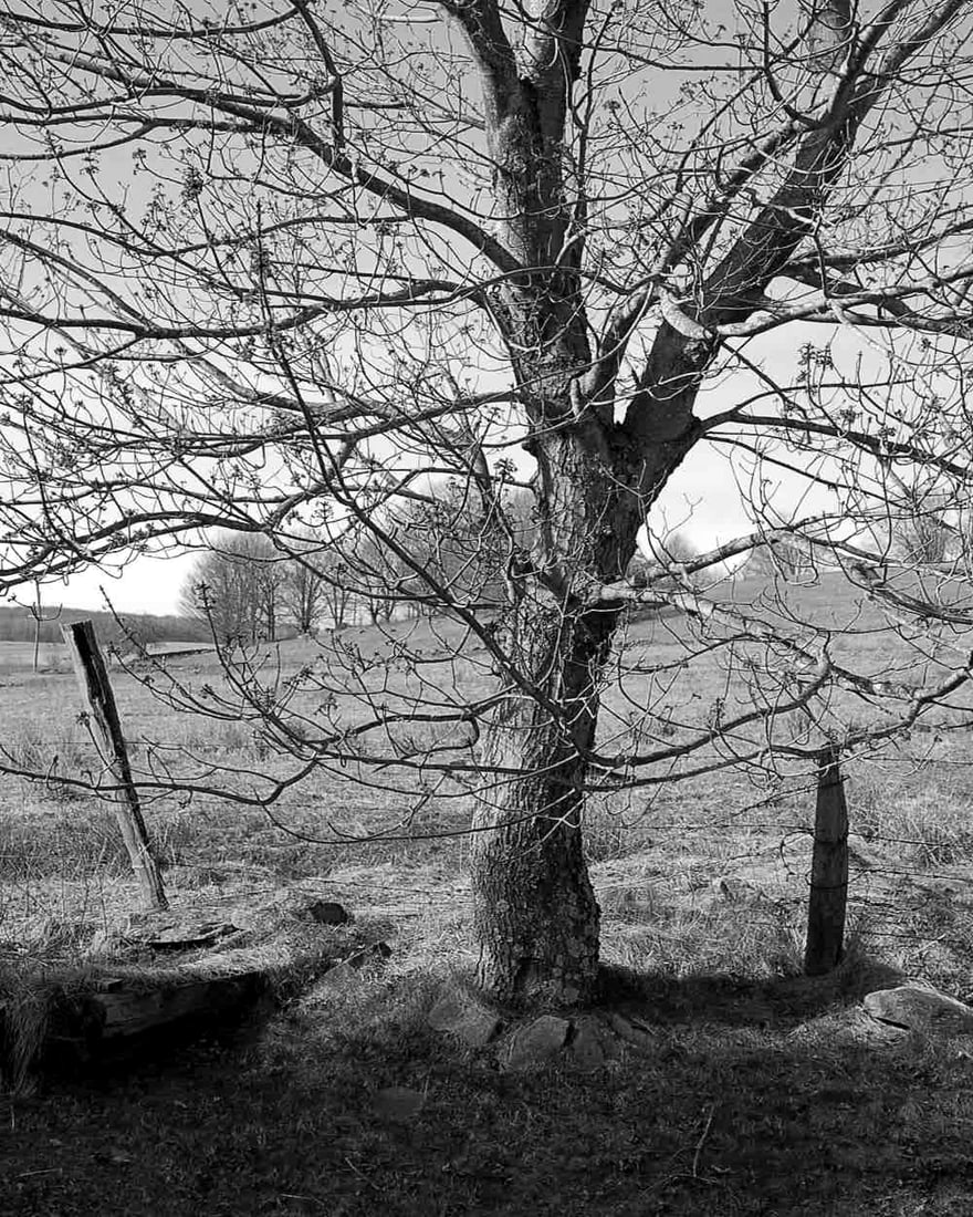 2009, "CHERISH", (WESTERN CATSKILL MOUNTAINS): Title: 2009, "CHERISH", (WESTERN CATSKILL MOUNTAINS) Artist/Source: KONSTANTIN DMETRIEV Original Date: 2009 Dimensions: 10X8" Description: || UNITED STATES SHIPPING ONLY! || This lot is a Dye Based Ph