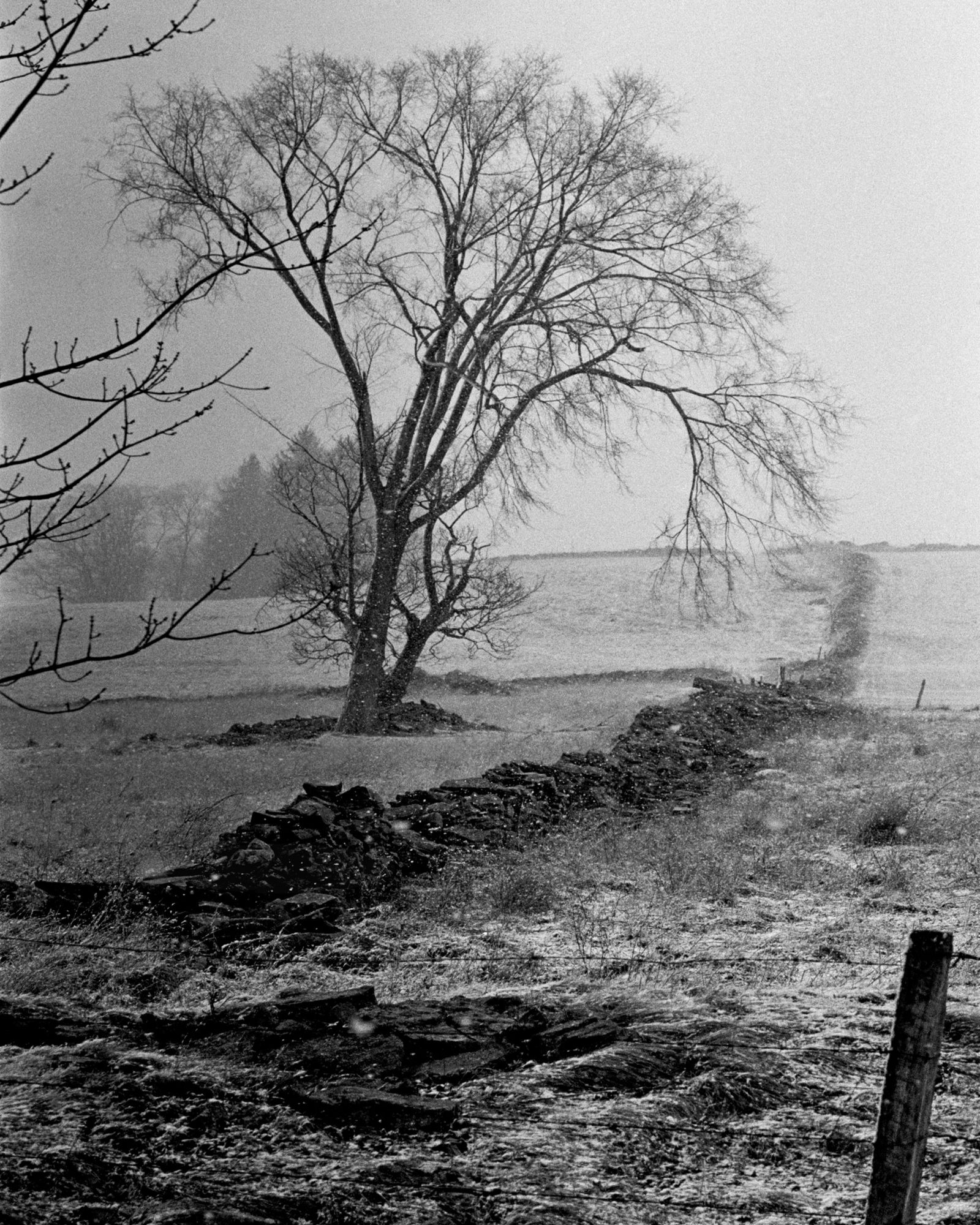 2012"SNOWFLAKES ON ROCKLINE", (CATSKILL MOUNTAINS): Title: 2012"SNOWFLAKES ON ROCKLINE", (CATSKILL MOUNTAINS) Artist/Source: KONSTANTIN DMETRIEV Original Date: 2008 Dimensions: 10X8" Description: || UNITED STATES SHIPPING ONLY! || This lot is a Dye