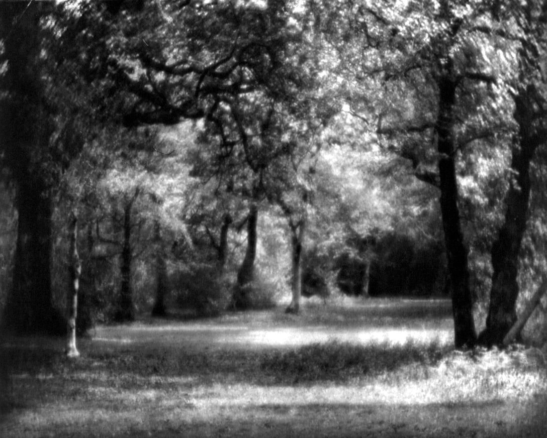 SUNLIT GLADE: Title: SUNLIT GLADE Artist/Source: UNKNOWN Original Date: UNKNOWN Dimensions: 8X10" Description: || UNITED STATES SHIPPING ONLY! || This lot is a Dye Based Photolithograph and is a restoration print,