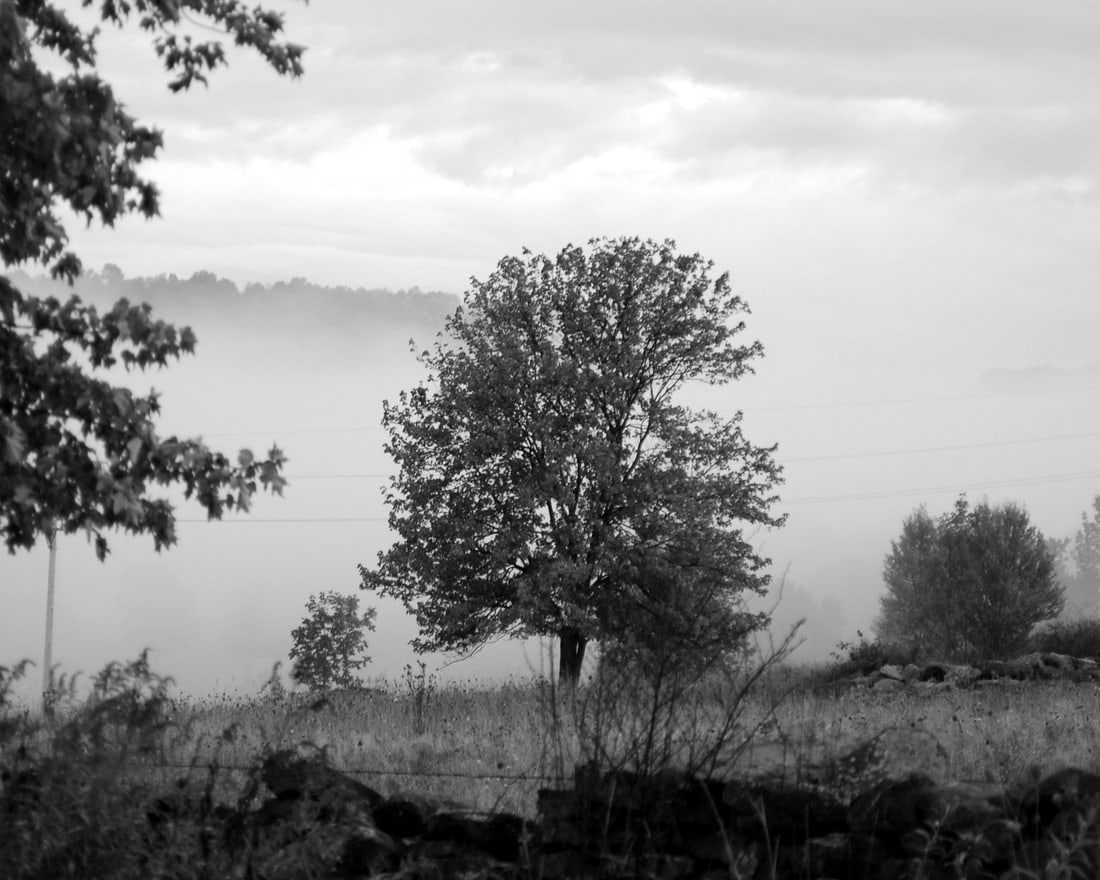 CATSKILL MOUNTAINS MORNING: Title: CATSKILL MOUNTAINS MORNING Artist/Source: KONSTANTIN DMETRIEV Original Date: 2012 Dimensions: 8X10" Description: || UNITED STATES SHIPPING ONLY! || This lot is a Dye Based Photolithograph and