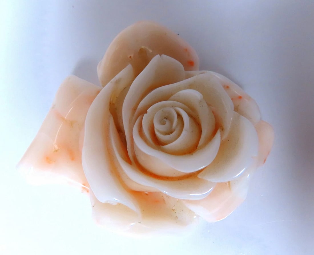 GIA Certified Carved Coral - 2