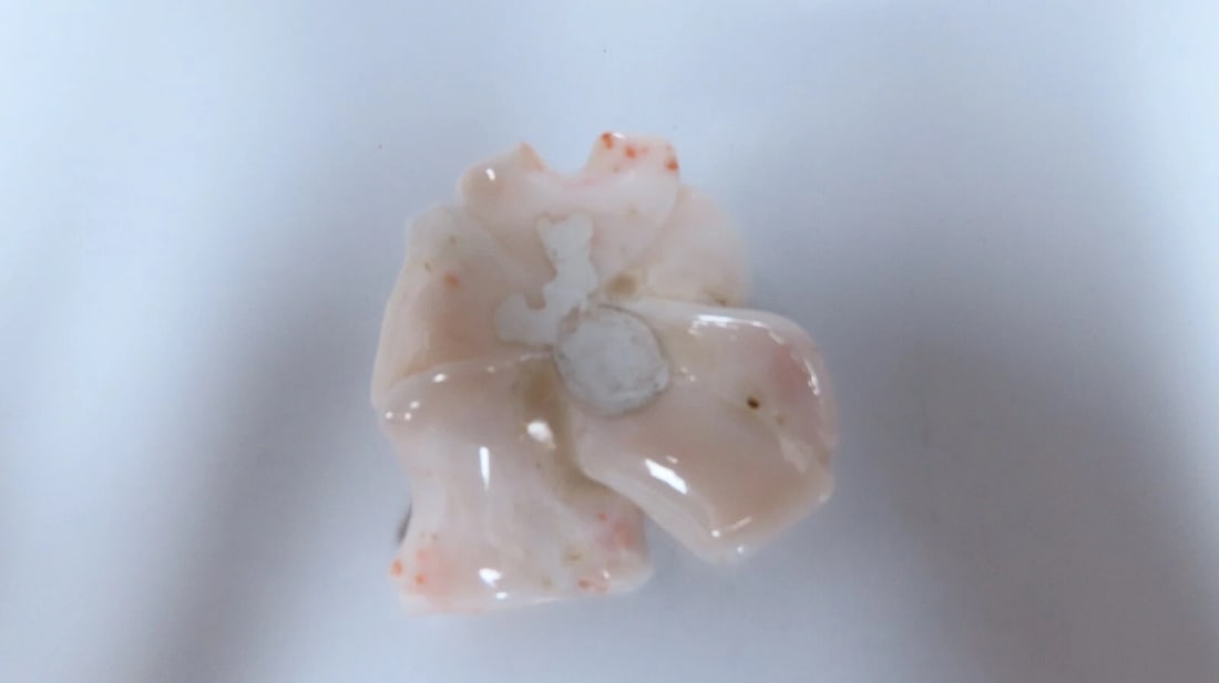 GIA Certified Carved Coral - 7