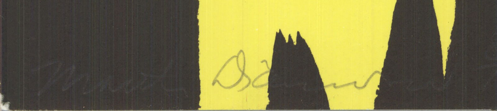 Martha Diamond - American Dance Festival 1981 - 1981 Lithograph - SIGNED 36" x 24.5" - 2