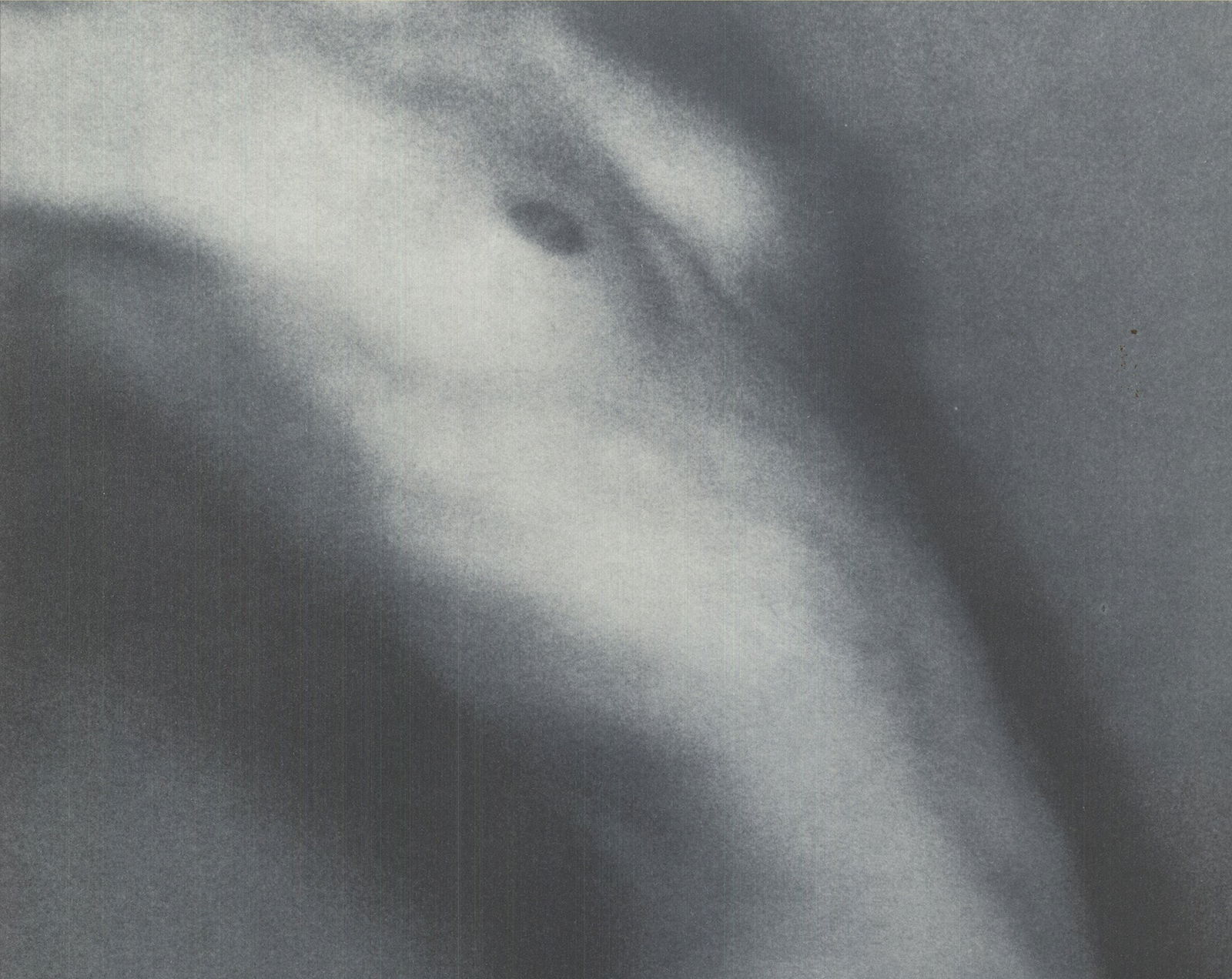 Sheila & Jeffrey Metzner - American Dance Festival 1992 - 1992 Offset Lithograph - SIGNED 21.25" x - 5