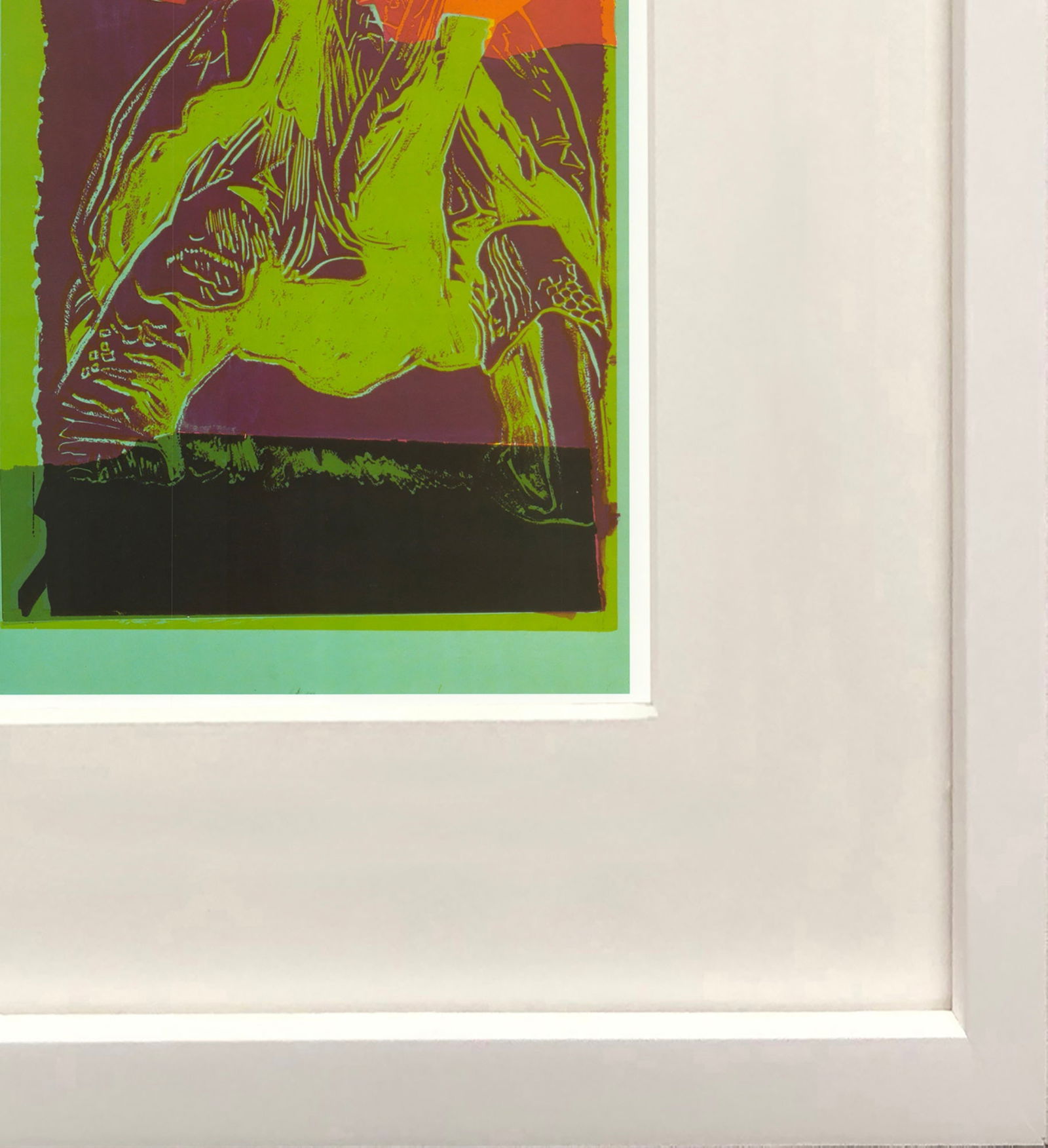 Andy Warhol - Vanishing Animals: Galapagos Tortoise - 1991 Offset Lithograph 15.75" x 12.25" - 4