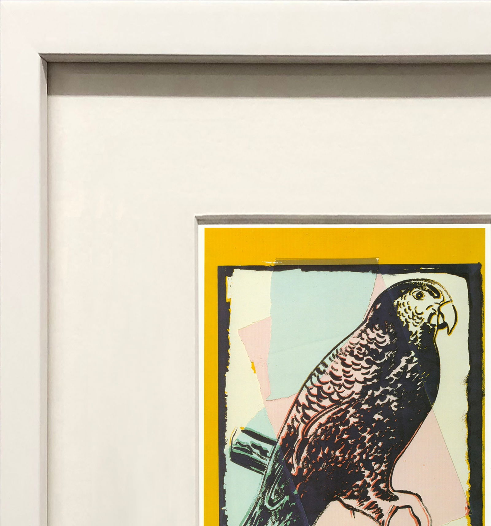 Andy Warhol - Vanishing Animals: Puerto Rican Parrot - 1991 Offset Lithograph 15.75" x 12.25" - 3