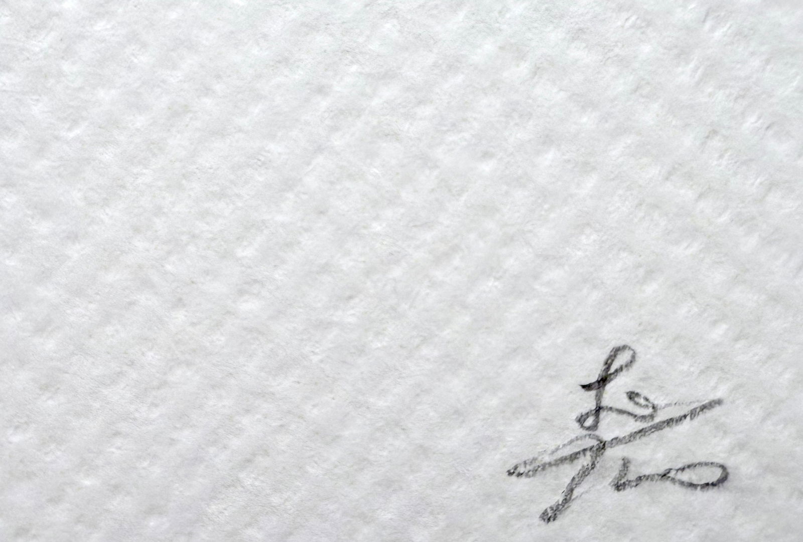 Death NYC Audrey - 3