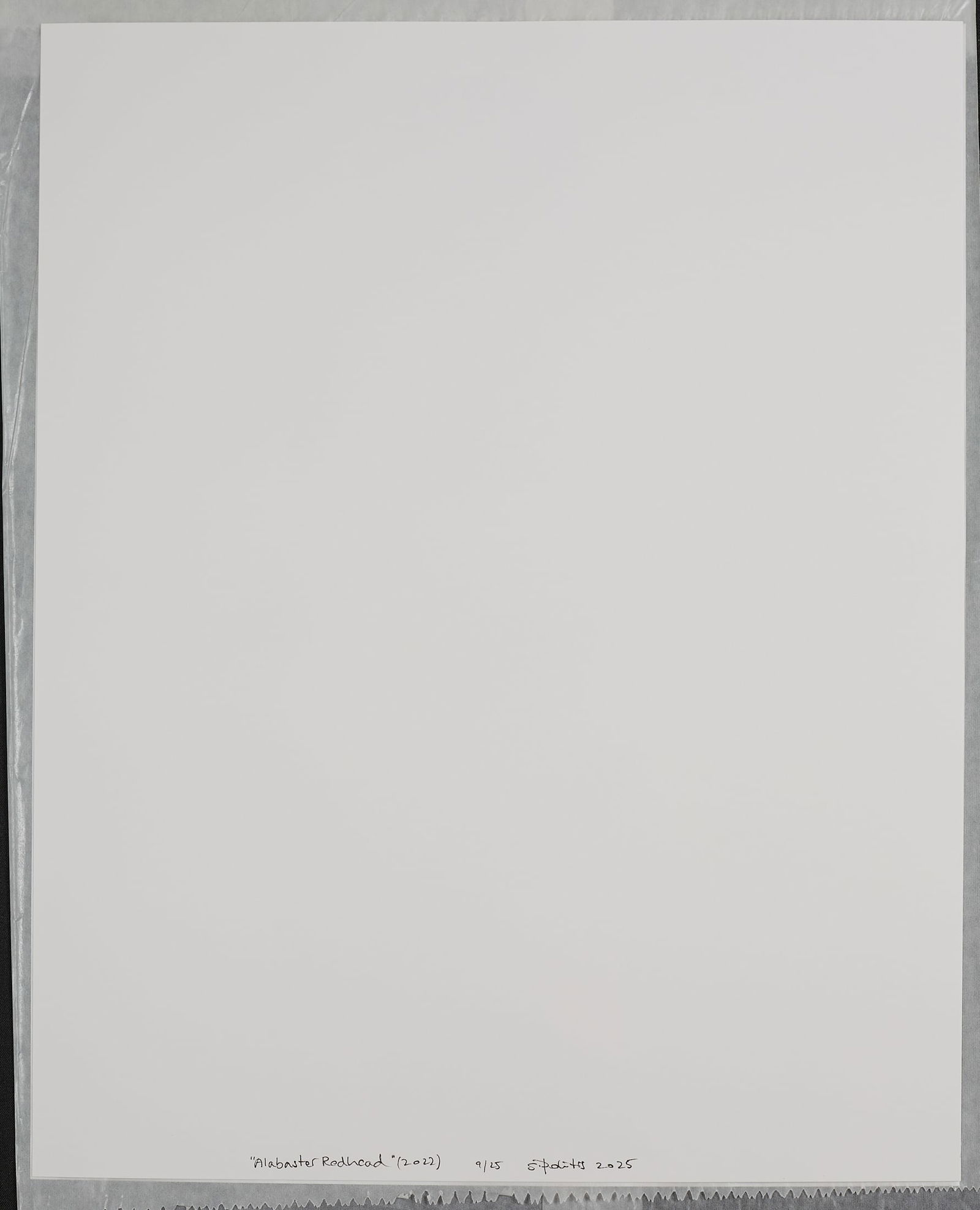 alabaster Redhead(2023)(9/25) - 6