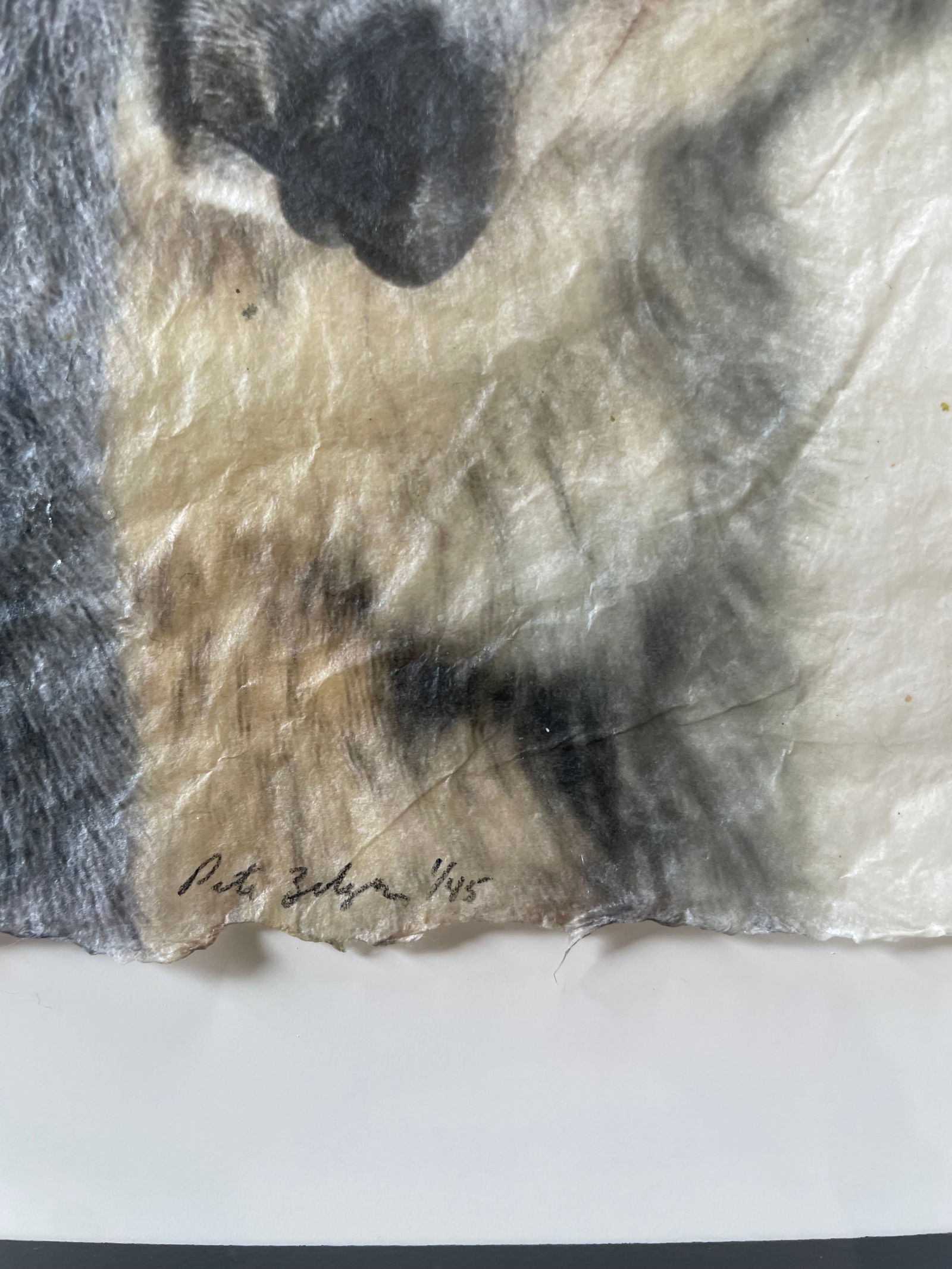 Untitled (Two Wolves 1/45) - 2