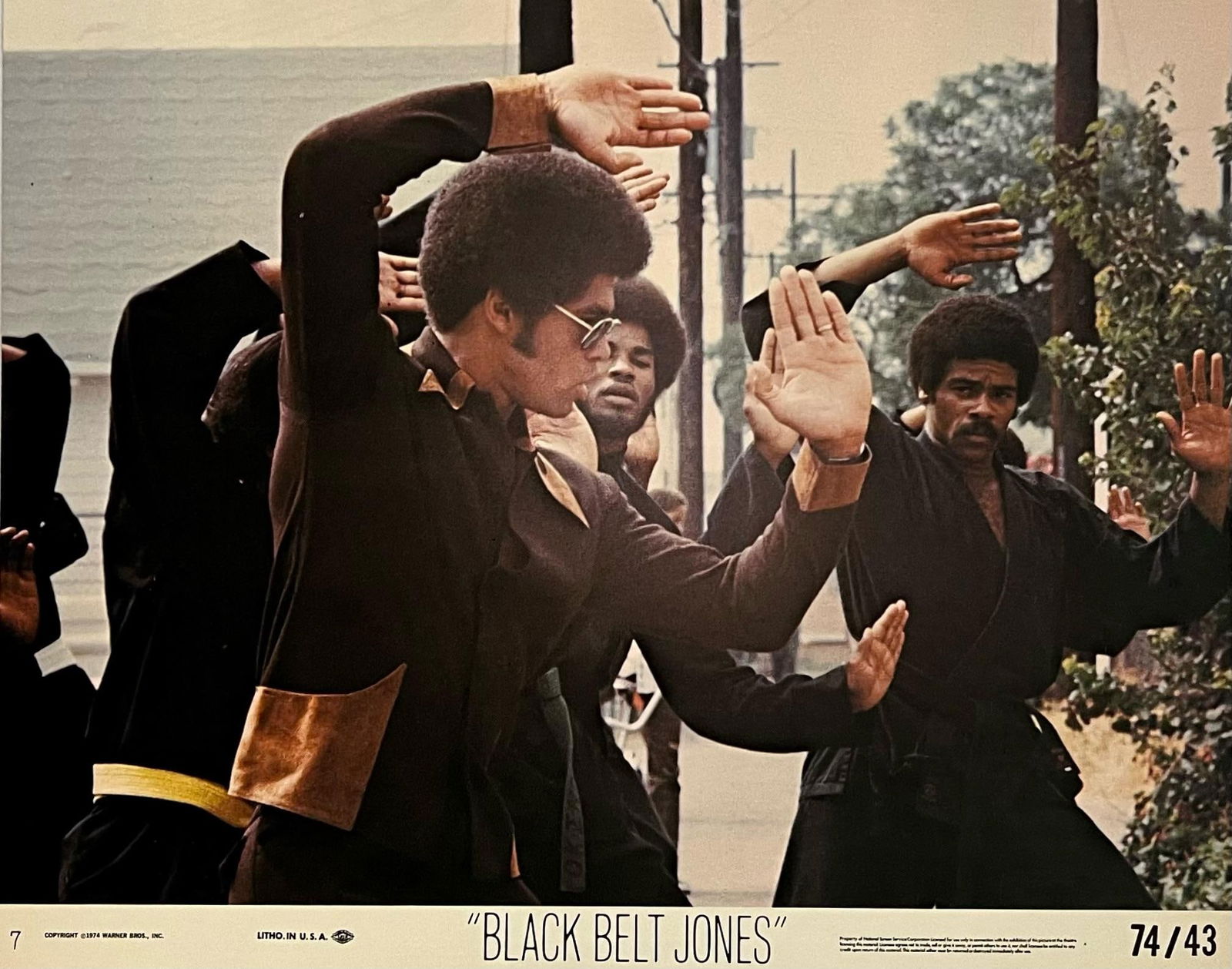 Black Belt Jones - Original 1974 Lobby Card: 1977: Title: Black Belt Jones - Original 1974 Lobby Card: 1977 Description: Black Belt Jones - Original 1974 Lobby Card Black Belt Jones Black Belt Jones is a 1974 American blaxploitation martial arts film