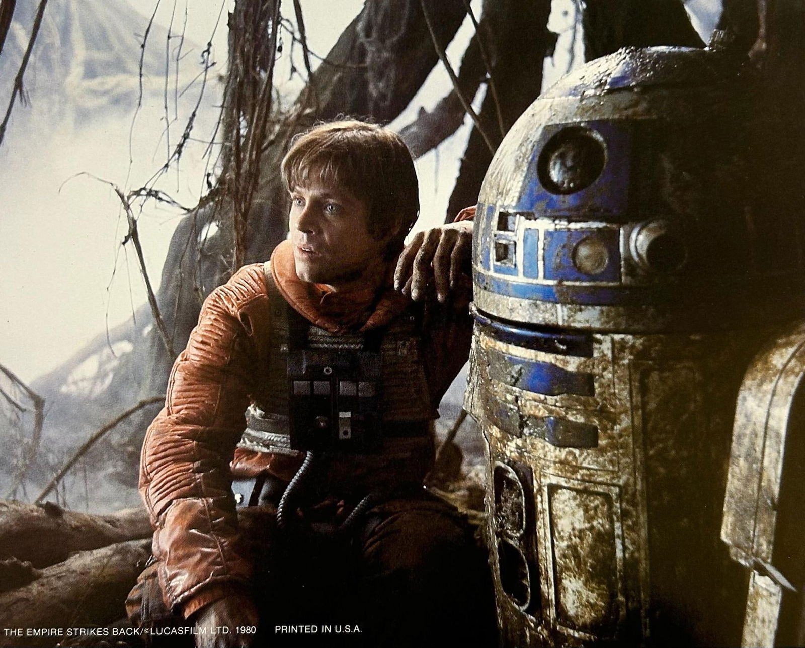 Star Wars The Empire Strikes Back 1980 Cinema Lobby Card Luke and R2D2: 1980: Title: Star Wars The Empire Strikes Back 1980 Cinema Lobby Card Luke and R2D2: 1980 Description: Star Wars: The Empire Strikes Back 1980 Vintage Lobby Card #12 Original Star Wars lobby card of Luke Sk