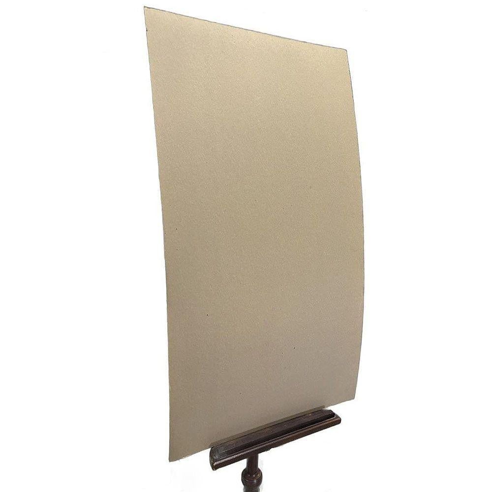 Tortoise & Pleated Shell Limpets Print Naturalists Miscellany by Shaw and Nodder - 7