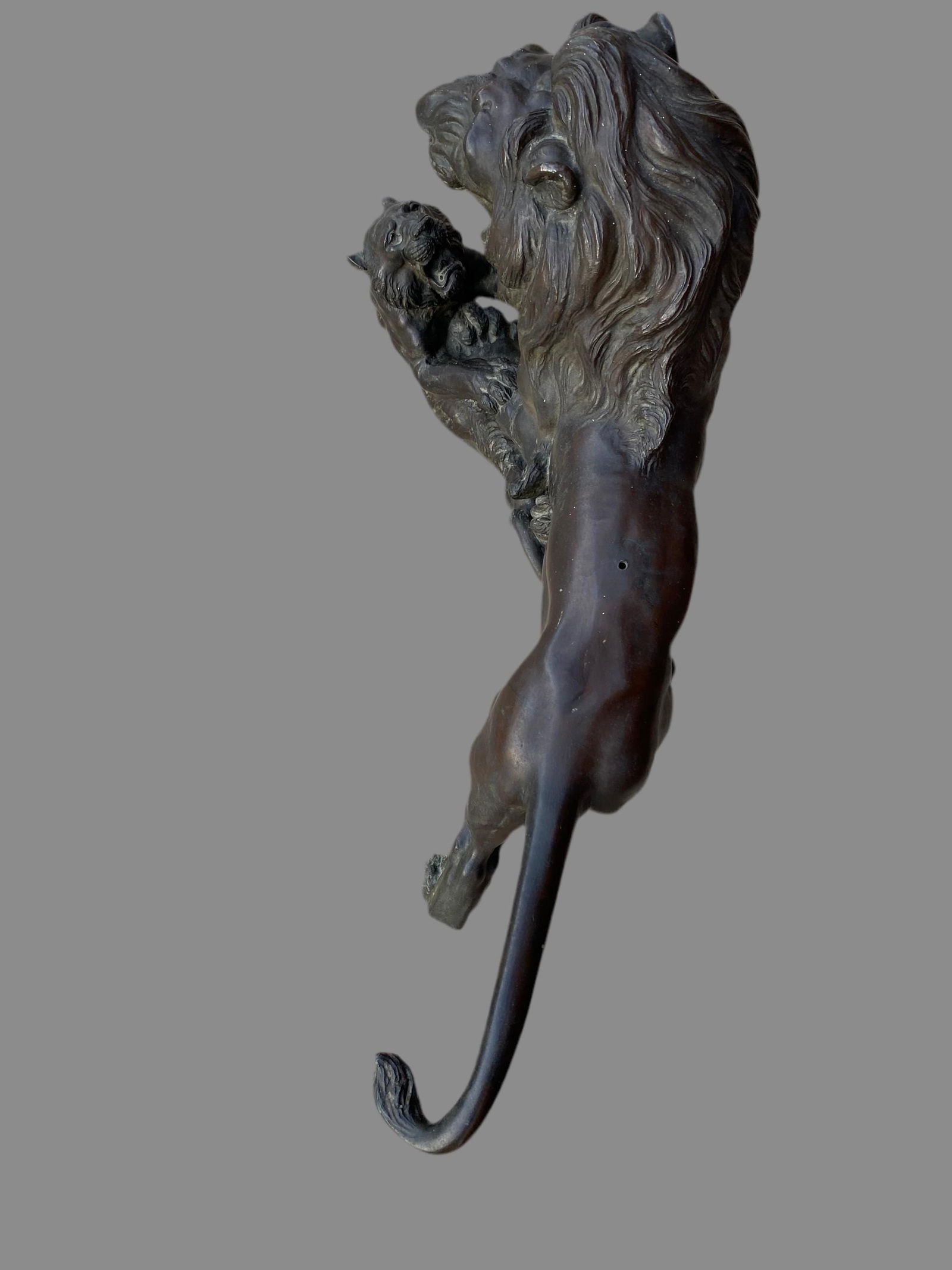 Antique Japanese Bronze Sculpture of Roaring Lion vs. Tiger - 3