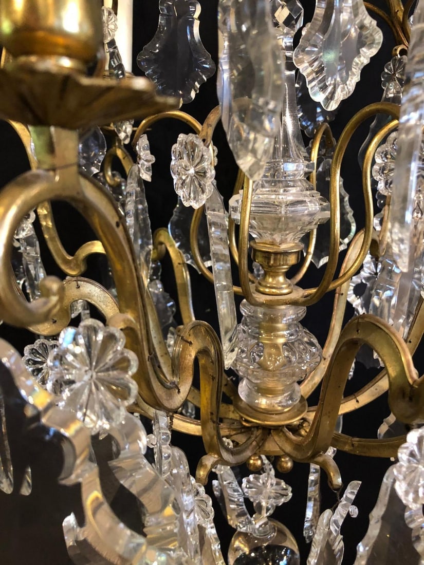 French Bronze and Crystal Gilt Chandelier, Louis XVI Style - 11