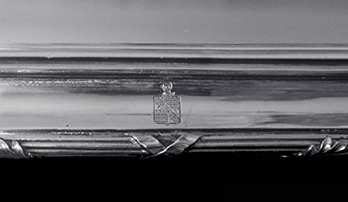 ODIOT - 19th CENTURY 950 STERLING SILVER LOUIS XVI "CENTRE DE TABLE" - 2