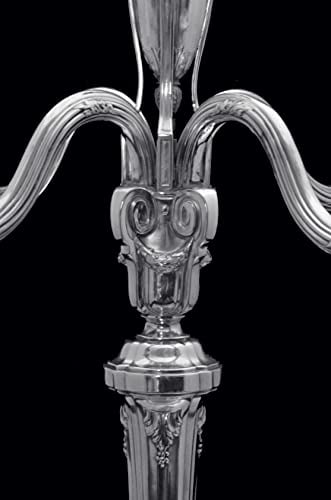 TETARD FRERES - TWO LOUIS XV 4-CANDLE CANDELABRA IN 950 STERLING SILVER - 1905 ! - 5