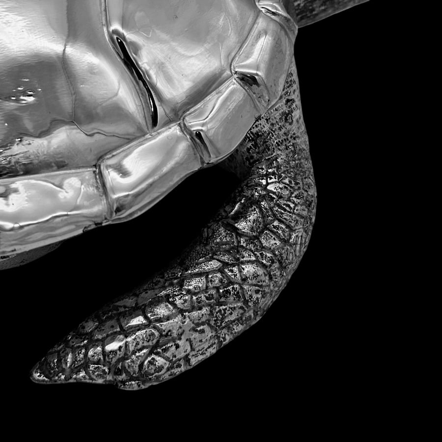 Mid 20th Century Modern Silverplate Large Turtle Box Circa 1950 - 10