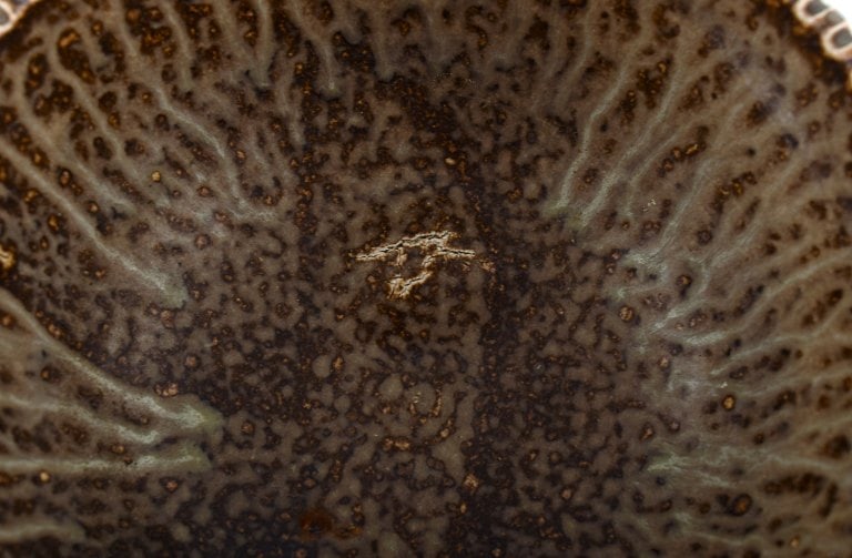 Arne Bang (1901-1983), Denmark. Bowl in glazed ceramics modeled with grooved body. Model number 122. - 6