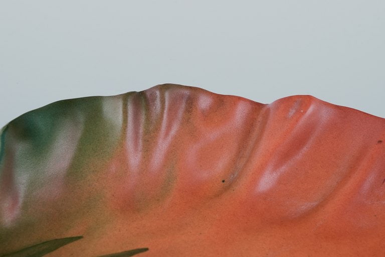 Ipsens Enke, Denmark. Ceramic bowl with wavy rim. Design depicting plant growth. Glaze in orange and - 6