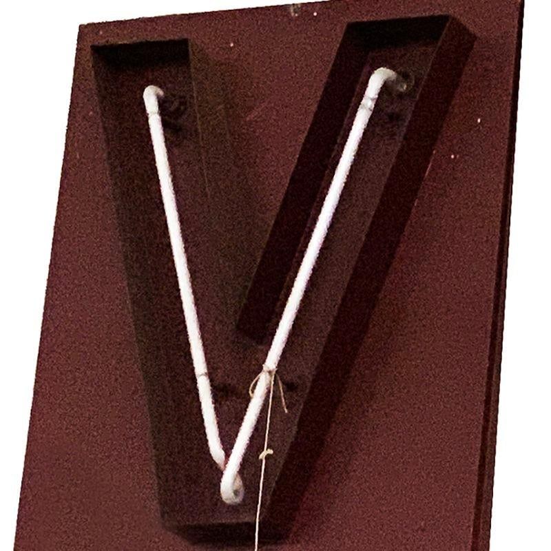 Large Vintage Neon Marquee Letter "V" From Pan American Auditorium - 3