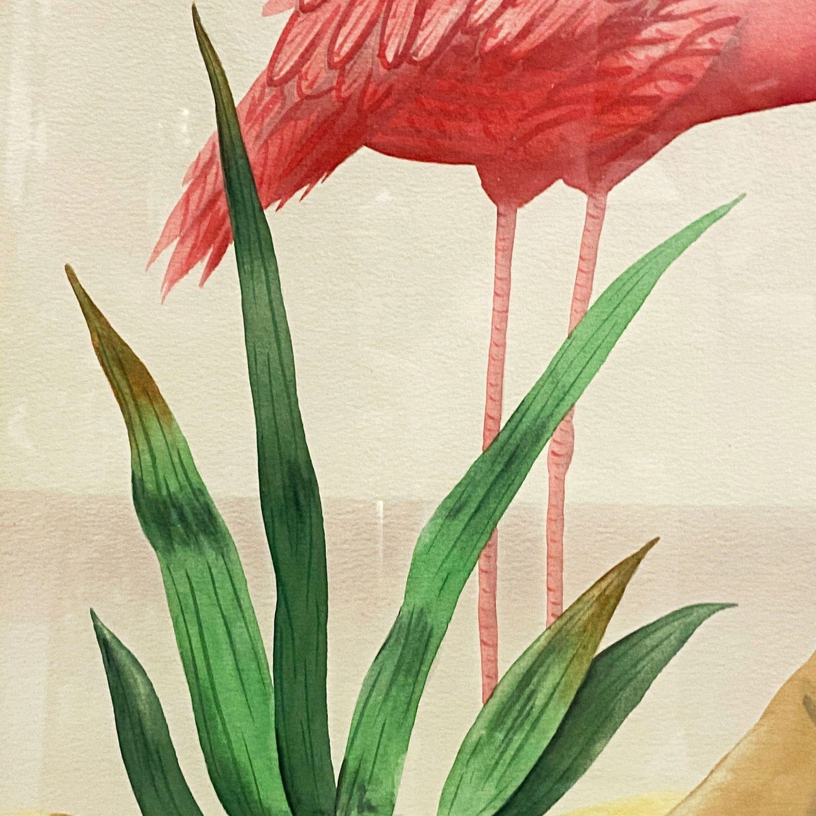 MCM Peeking Pink Flamingo Watercolor on Paper Signed by Shirrell Graves, Framed - 12