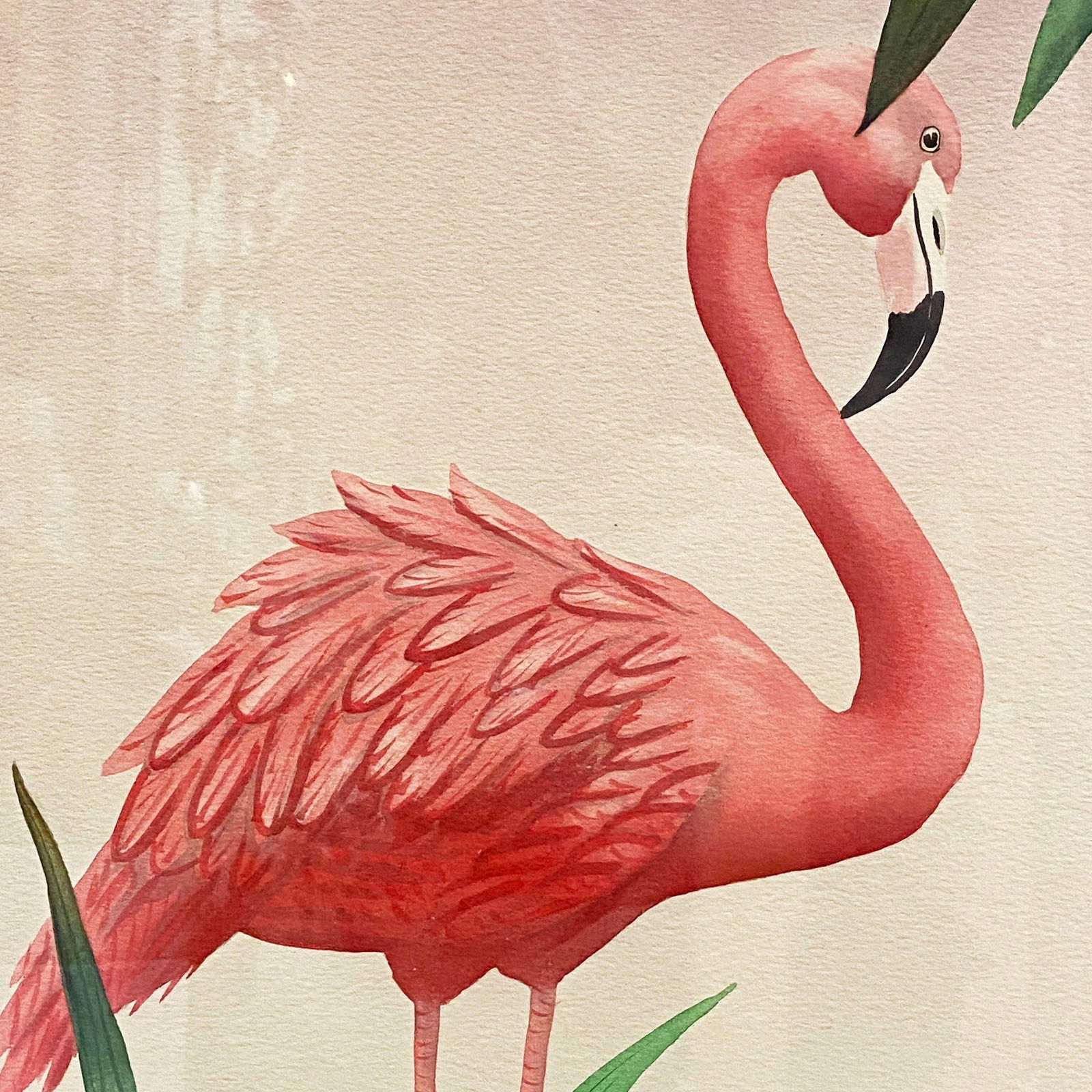 MCM Peeking Pink Flamingo Watercolor on Paper Signed by Shirrell Graves, Framed - 8