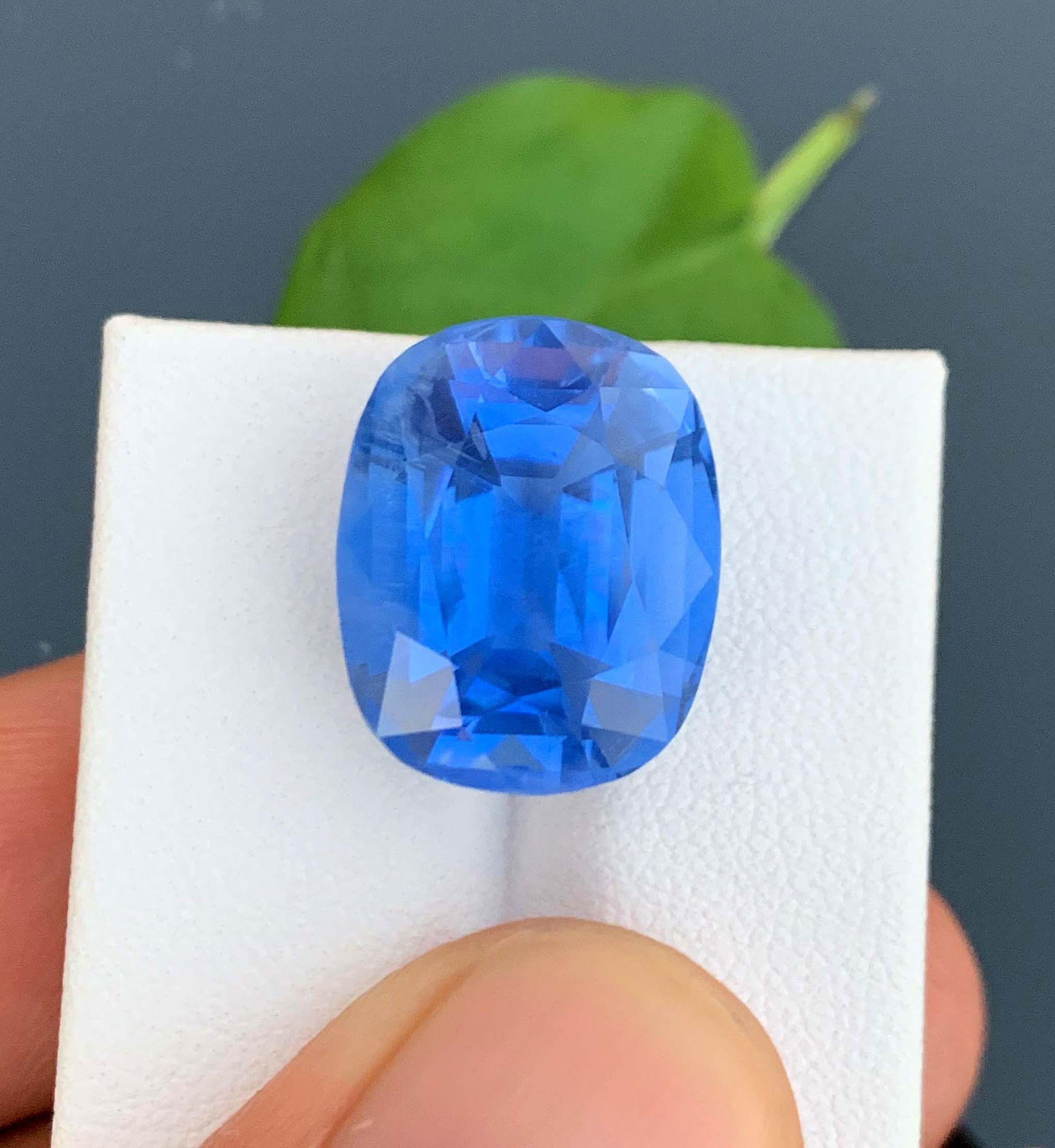 Santa Maria Aquamarine Gemstone: 15.82 Carat Oval Cut Stone: Materials: Gemstone: Aquamarine Carat weight: 15.82 Certified Blue Aquamarine Gemstone, Santa Maria Aquamarine, Cut Stone, Faceted Aquamarine, Aquamarine Stone Weight - 15.82 Carats Dimensions -