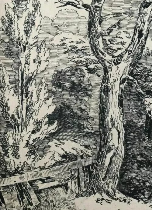 Antique Ink Drawing Original 19th century Landscape, Man and Tree - 5
