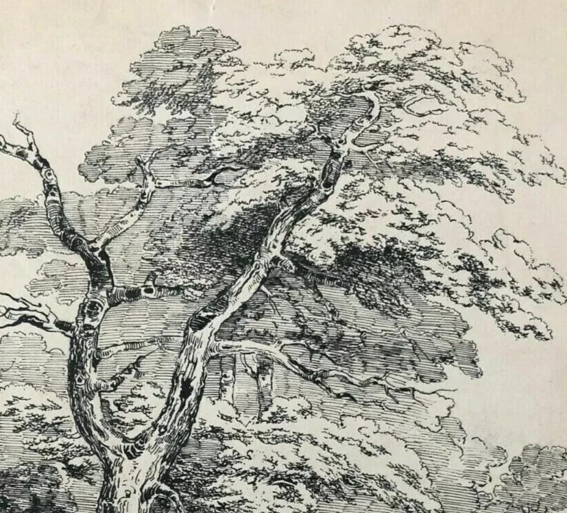 Antique Ink Drawing Original 19th century Landscape, Man and Tree - 6