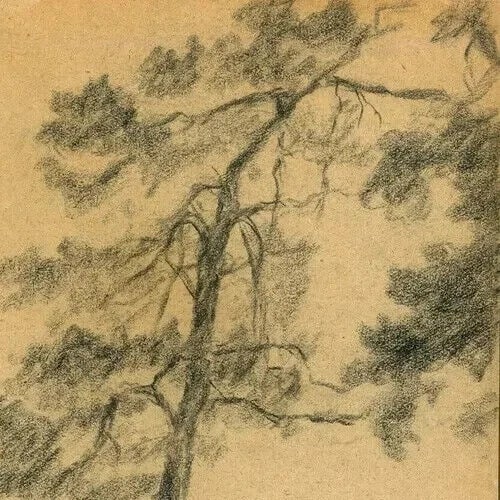 Tree, Vegetation, Landscape, Leaves - Drawing Vintage Pencil Original Artwork - 4