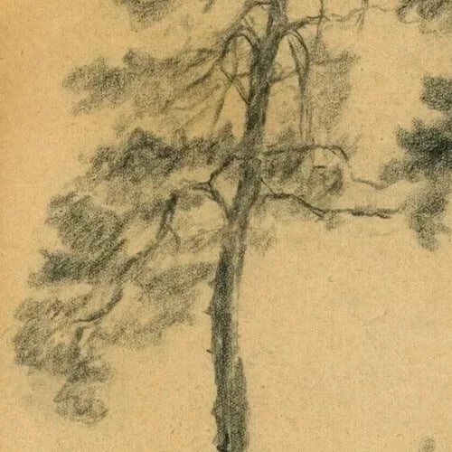 Tree, Vegetation, Landscape, Leaves - Drawing Vintage Pencil Original Artwork - 5