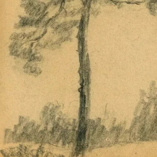 Tree, Vegetation, Landscape, Leaves - Drawing Vintage Pencil Original Artwork - 6