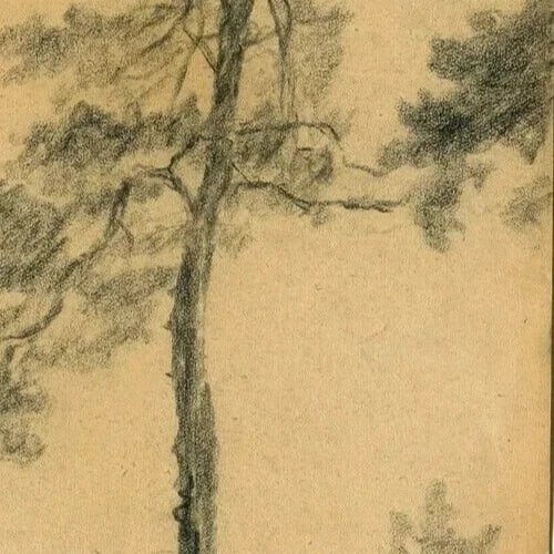 Tree, Vegetation, Landscape, Leaves - Drawing Vintage Pencil Original Artwork - 8