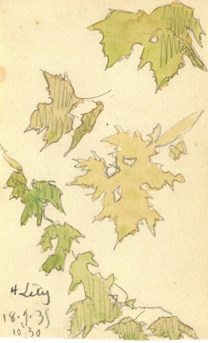 1935Leaves, Still Life, Autumn, Tree Drawing Vintage Original signed Artwork - 2