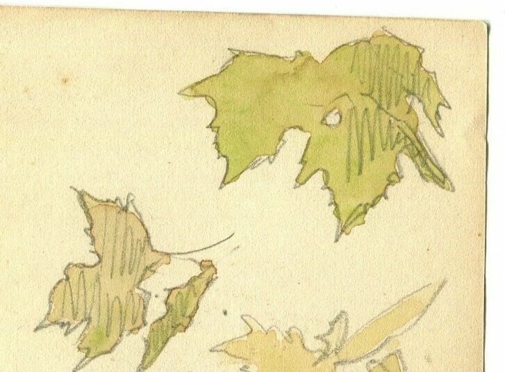 1935Leaves, Still Life, Autumn, Tree Drawing Vintage Original signed Artwork - 3