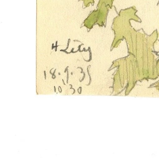 1935Leaves, Still Life, Autumn, Tree Drawing Vintage Original signed Artwork - 6