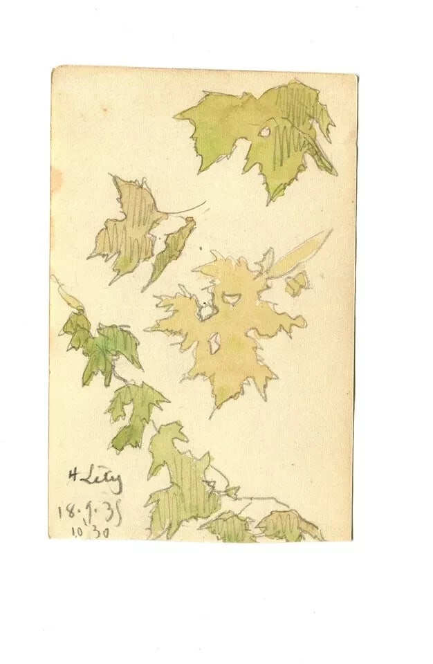 1935Leaves, Still Life, Autumn, Tree Drawing Vintage Original signed Artwork - 8